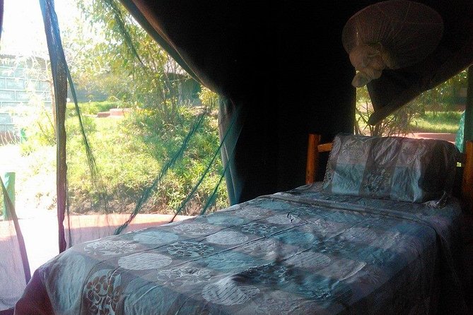 Masai Mara Budget 2 nights tented camp road Safari - Why This Safari Makes Sense For A Short Kenya Trip