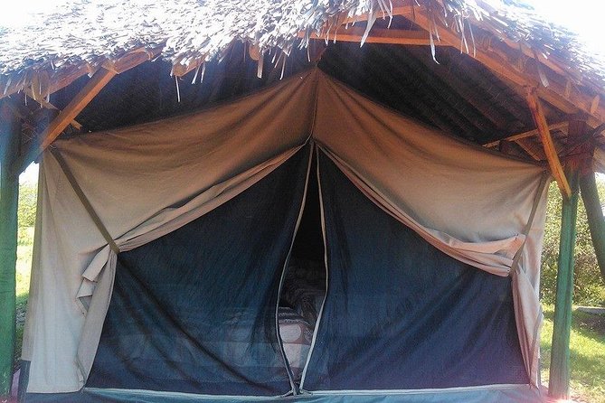 Masai Mara Budget 2 nights tented camp road Safari - Camp Life, Meals, And Comfort
