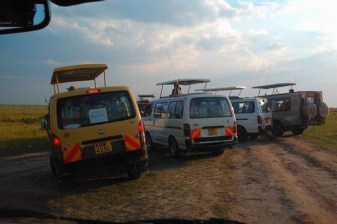 Masai Mara Budget 2 nights tented camp road Safari - Is $650 A Good Value?