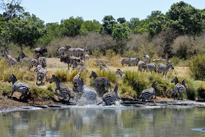 Masai Mara classic safari with optional Masai Village - The first approach to the reserve