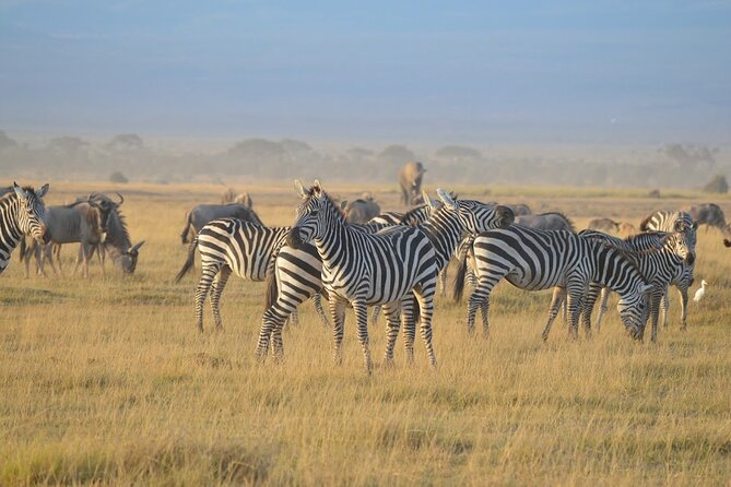 Masai Mara classic safari with optional Masai Village - Two nights at Mara Sopa Lodge or an equivalent