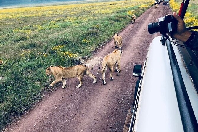 Masai Mara classic safari with optional Masai Village - What the $2,500 price really covers