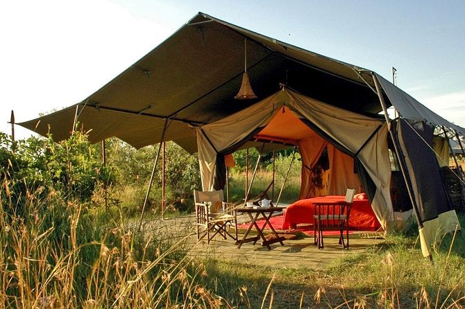 Masai Mara Game Reserve Safari Tour, 4 Days 3 Nights - Day two: a full day among the Mara’s animals