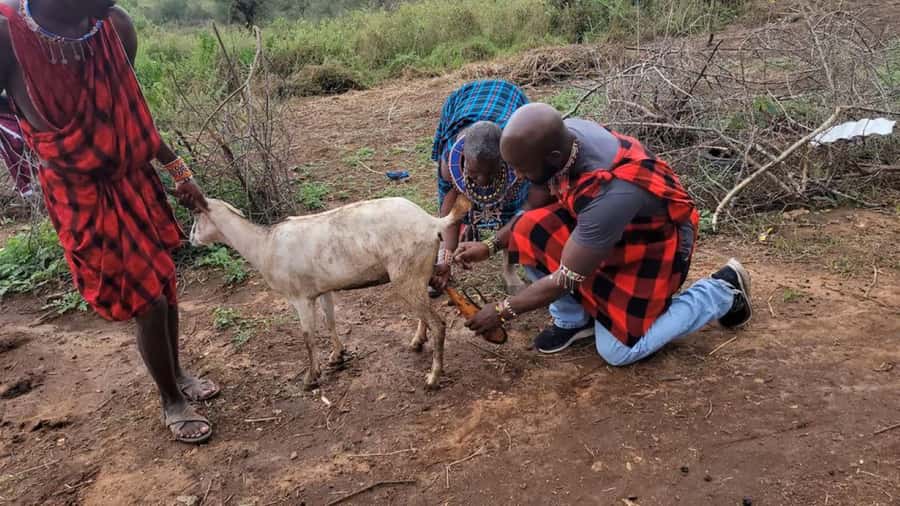Masai Village Cultural Day Tour from Nairobi - Key points to know before you go