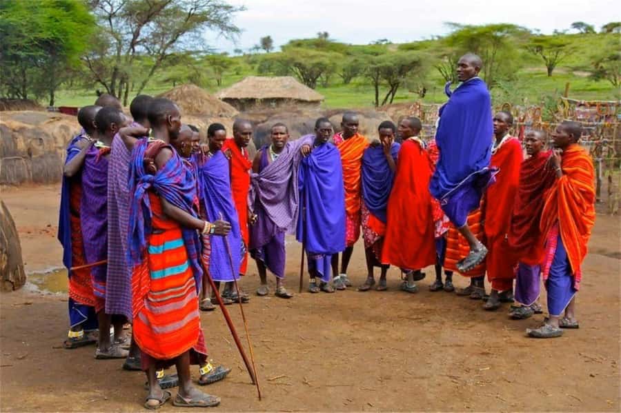 Masai Village Cultural Day Tour from Nairobi - Lunch and the Kajiado stop