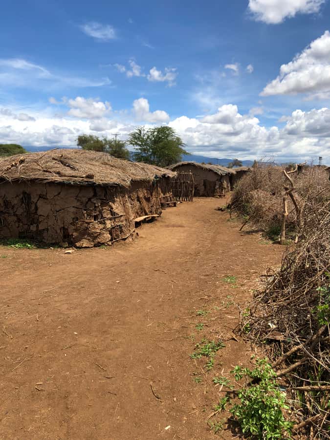 Masai village tour and culture to Kajiado from Nairobi. - Who will enjoy this six-hour experience