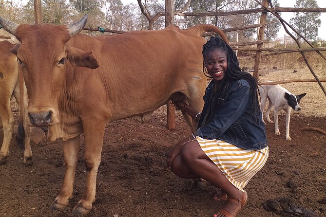 Masai village visit from Nairobi day tour - Practical Tips for a Better Day