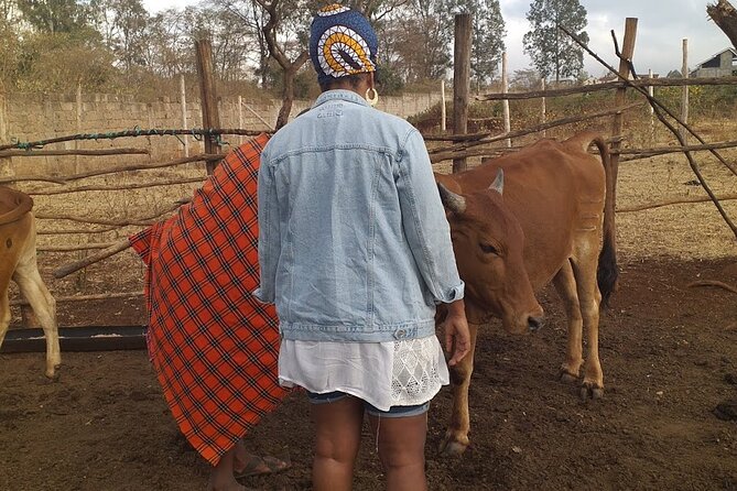 Masai village visit from Nairobi day tour - Should You Book the Maasai Village Visit?
