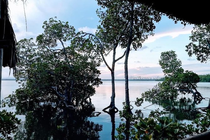 Mida Creek Safari Blue - Key things to know before booking