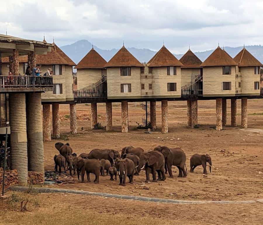 Mombasa: 2-Day Safari to Taita Hills Game Sanctuary - Why Taita Hills works for a short safari from Mombasa