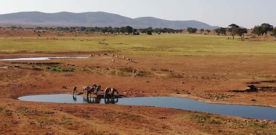 Mombasa: 2-Day Safari to Taita Hills Game Sanctuary - Who will enjoy this safari most