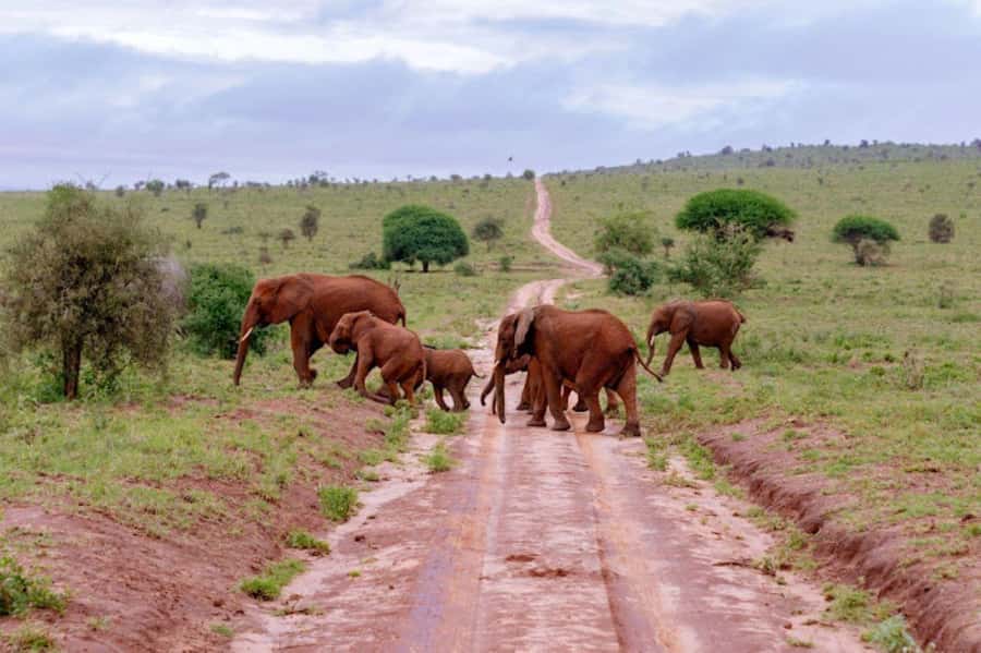 Mombasa: 2-Day Safari to Taita Hills Game Sanctuary - Practical advice before you go
