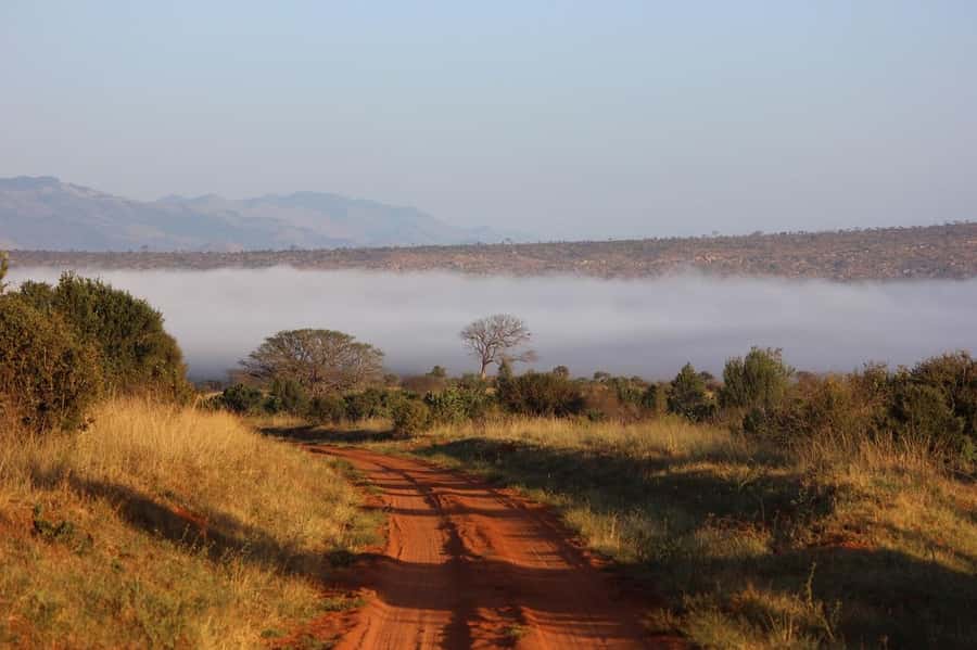 Mombasa: 3-Days 2-Nights Tsavo East and West Private Safari. - How to prepare for the road and the sun