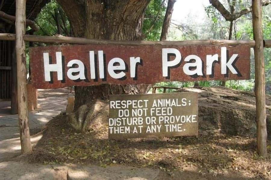Mombasa: Discovery Day Tour and Haller Park - The Akamba workshop offers a real look at craftwork