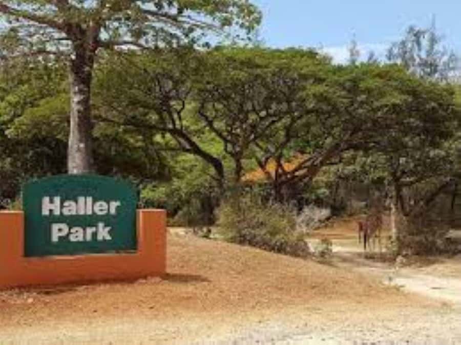 Mombasa: Discovery Day Tour and Haller Park - Is $125 good value for a full day?
