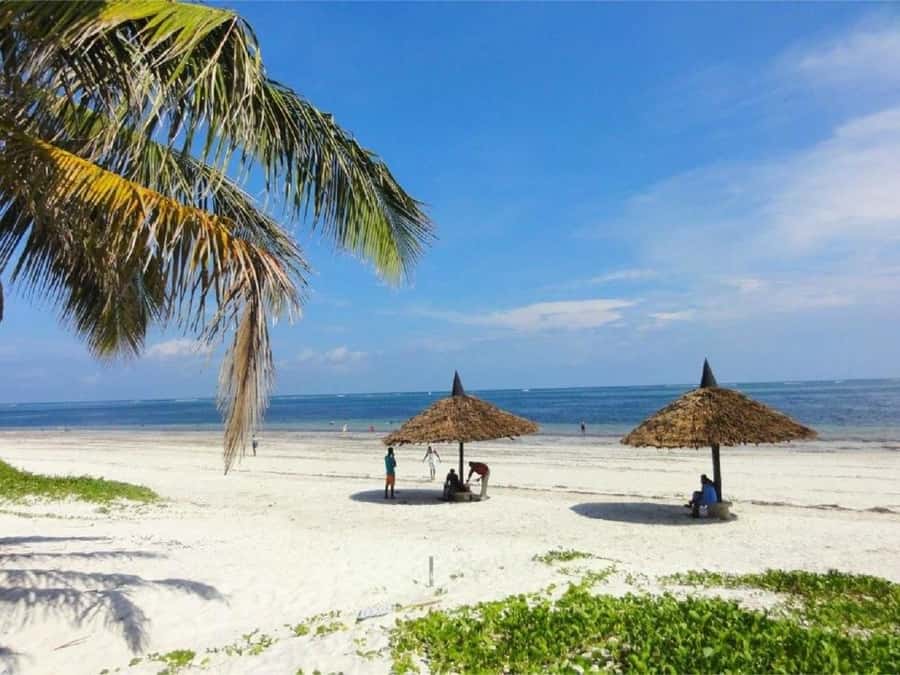 Mombasa: Fort Jesus, Old Town, and Haller Park Tour - Why this Mombasa tour works as a full-day introduction