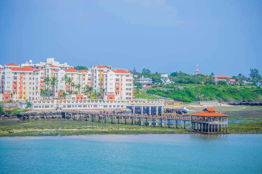 Mombasa: Fort Jesus, Old Town, and Haller Park Tour - What to bring for seven hours in Mombasa
