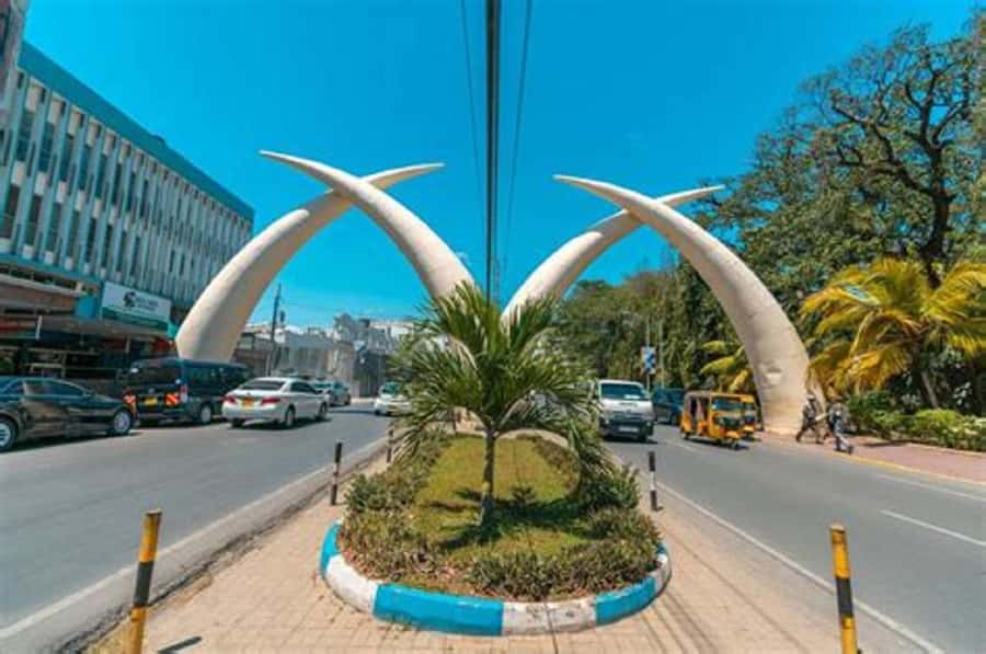 Mombasa: Fort Jesus, Old Town, and Haller Park Tour - Who will get the most from this tour