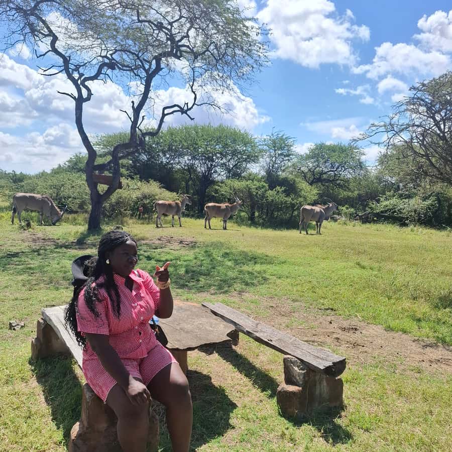 MOMBASA:FortJesus,OldCity,GiraffeOstrich,Oryx,Eland,WildTour - Five details that shape the day