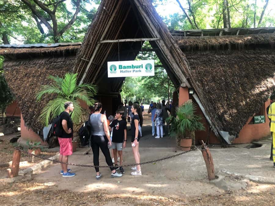 Mombasa Full Day city Excursion - Fort Jesus, & Haller park. - Why this Mombasa day works well