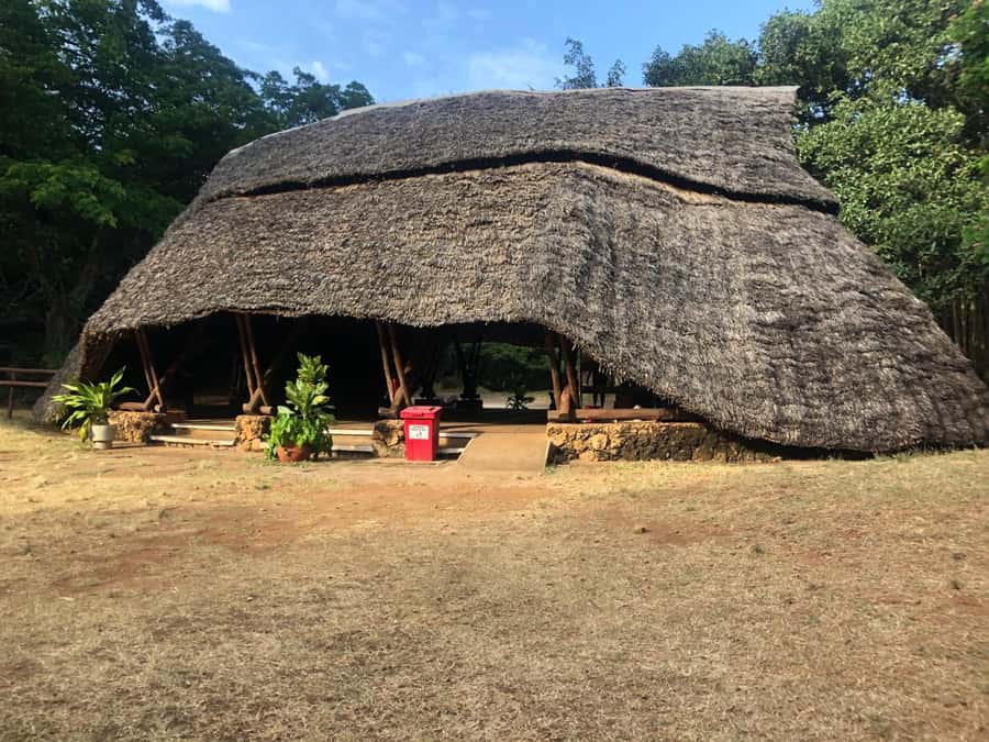 Mombasa Full Day city Excursion - Fort Jesus, & Haller park. - The Elephant Tusks and Akamba woodcarvers