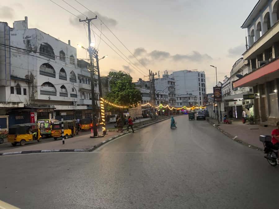 Mombasa Full Day city Excursion - Fort Jesus, & Haller park. - What the $110 price includes