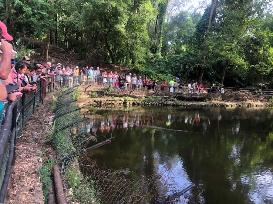 Mombasa Full Day city Excursion - Fort Jesus, & Haller park. - Fort Jesus and the struggle for Mombasa