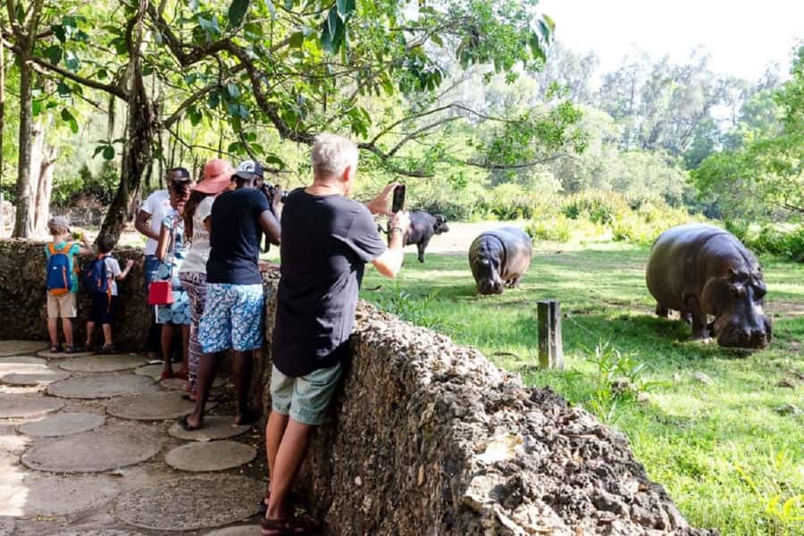 Mombasa Full Day City Tour - Is $70 good value for this Mombasa itinerary?