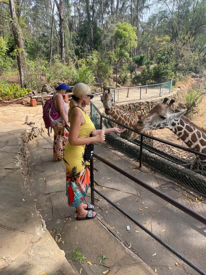 Mombasa Full Day City tour & Haller Park - The Tusks, Mapembe, and Mombasa’s royal connection
