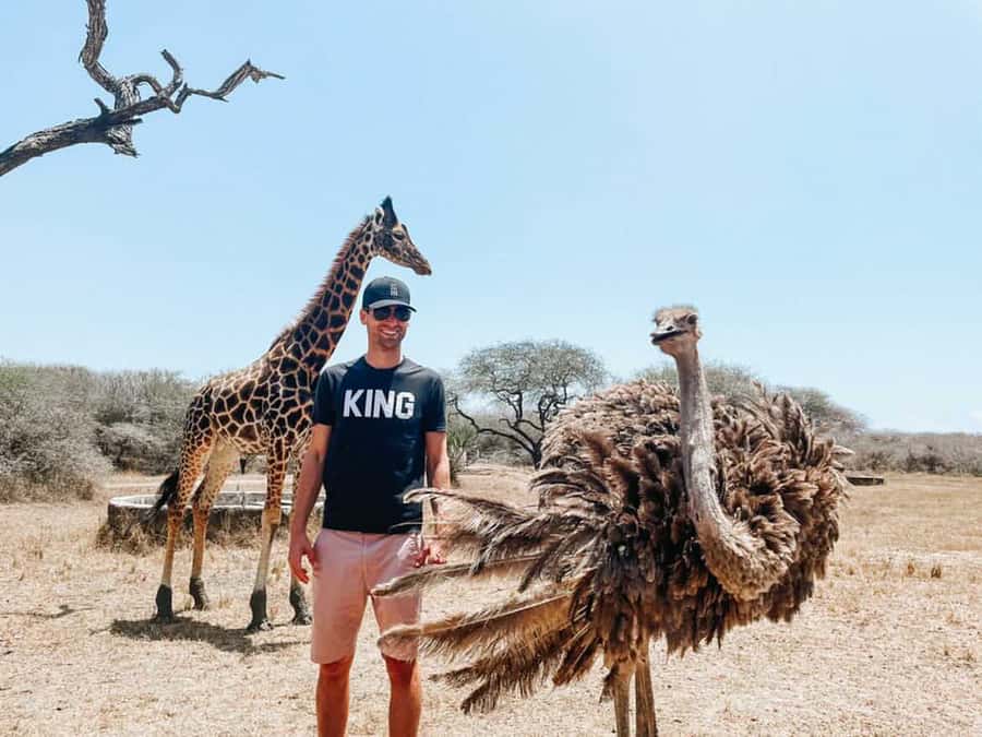 Mombasa: Guided Nature Walk Amongst Giraffes - The first 30 minutes: a gentle walk into the sanctuary