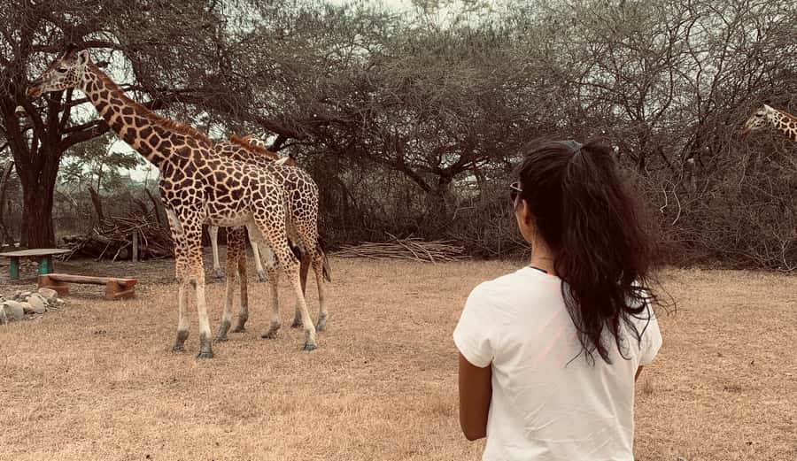 Mombasa: Guided Nature Walk Amongst Giraffes - Meeting giraffes at close range