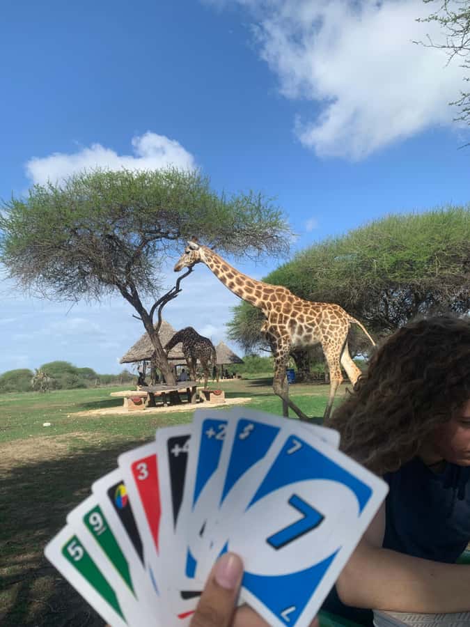 Mombasa: Guided Nature Walk Amongst Giraffes - The project behind the animal experience