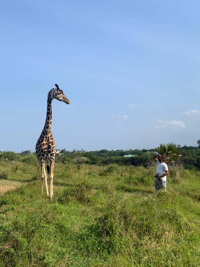 Mombasa: Guided Nature Walk Amongst Giraffes - What the $38 price includes and leaves out