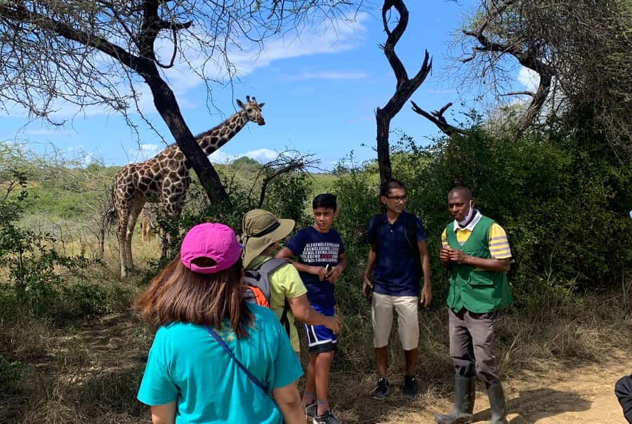 Mombasa: Guided Nature Walk Amongst Giraffes - Who will enjoy this most