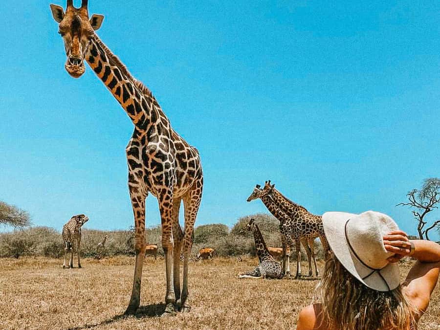 Mombasa: Guided Nature Walk Amongst Giraffes - Meeting your guide at Nguuni Nature Sanctuary