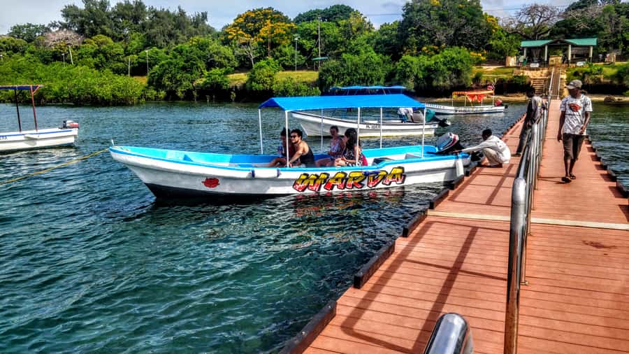 Mombasa: Kisite Park Private Cruise with Breakfast and Lunch - Kisite Marine Park: reef life from the boat