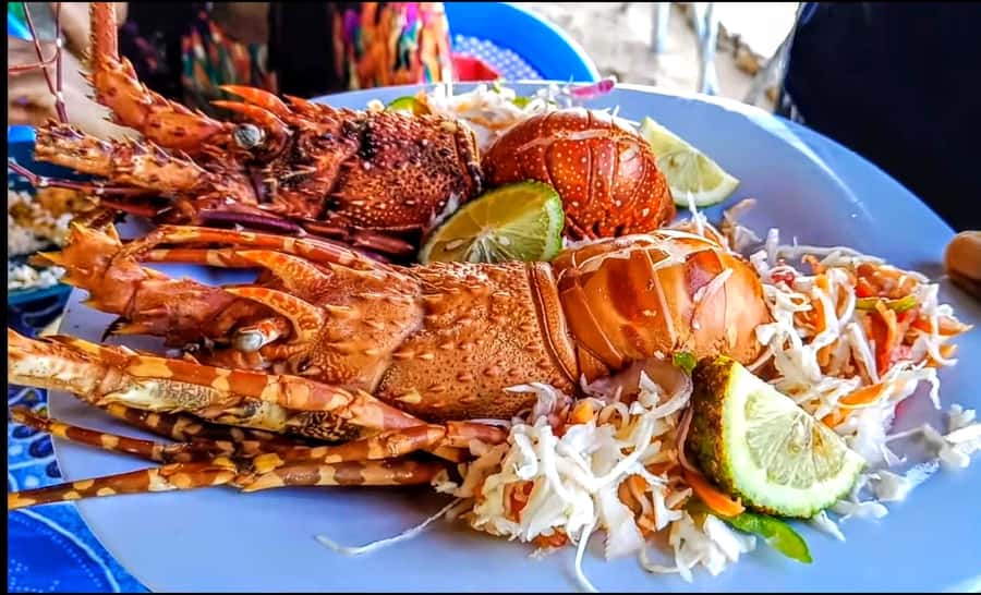 Mombasa: Kisite Park Private Cruise with Breakfast and Lunch - Who should choose this Kisite excursion?