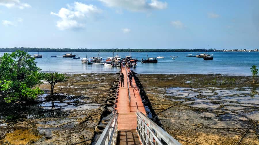 Mombasa: Kisite Park Private Cruise with Breakfast and Lunch - Breakfast on the boat and the search for dolphins