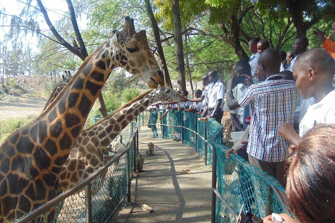 Mombasa Private City Tour & Haller park Sanctuary with sea food luch - Fort Jesus and the story of Mombasa’s harbor