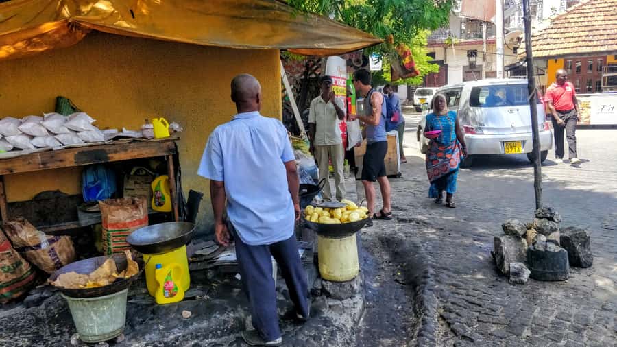 Mombasa: Private City Tour with Fort Jesus & Haller Park - Haller Park and the afternoon animal encounters