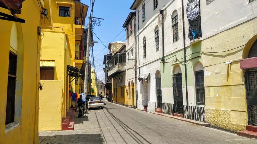 Mombasa: Private City Tour with Fort Jesus & Haller Park - The elephant tusks and Mama Ngina Drive