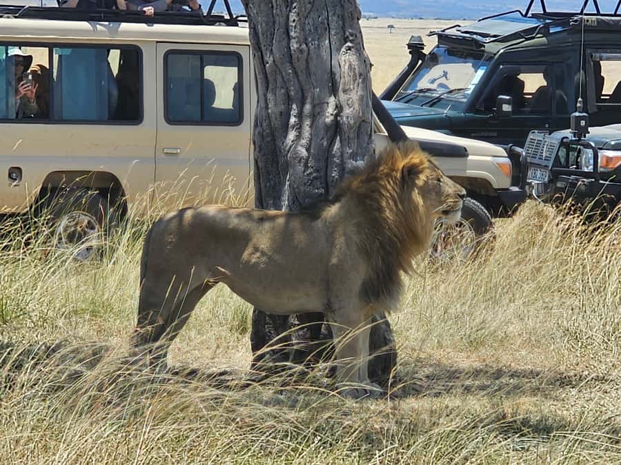 Mombasa: Tsavo East National Park Day Trip with Lunch - Who should book this Tsavo East day trip?