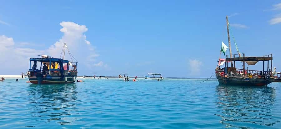 Mombasa: Wasini Dolphin Tour - Key points before you book