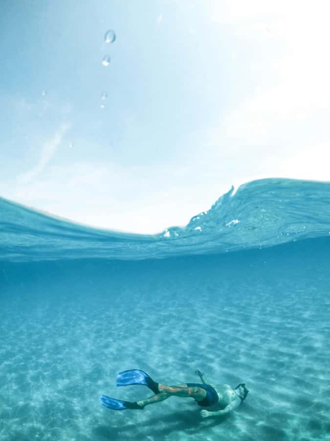 Mombasa: Wasini Dolphin Tour - Kisite Mpunguti Marine Park for snorkeling