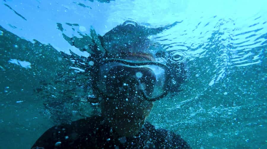 Mombasa: Wasini Dolphin Tour - Who will enjoy this day most