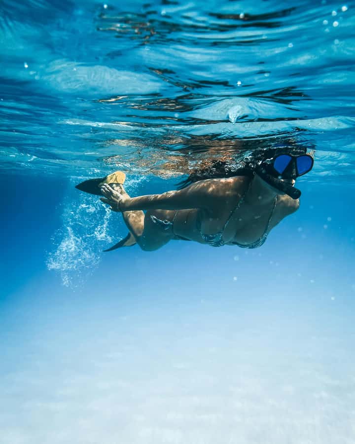 Mombasa: Wasini Dolphin Tour - What to pack for comfort