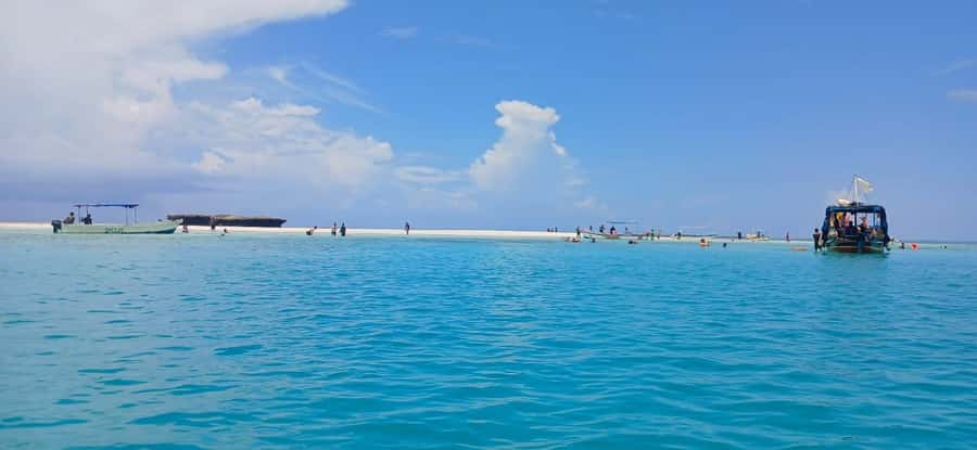 Mombasa: Wasini Dolphin Tour - The early road from Mombasa to Shimoni Jetty