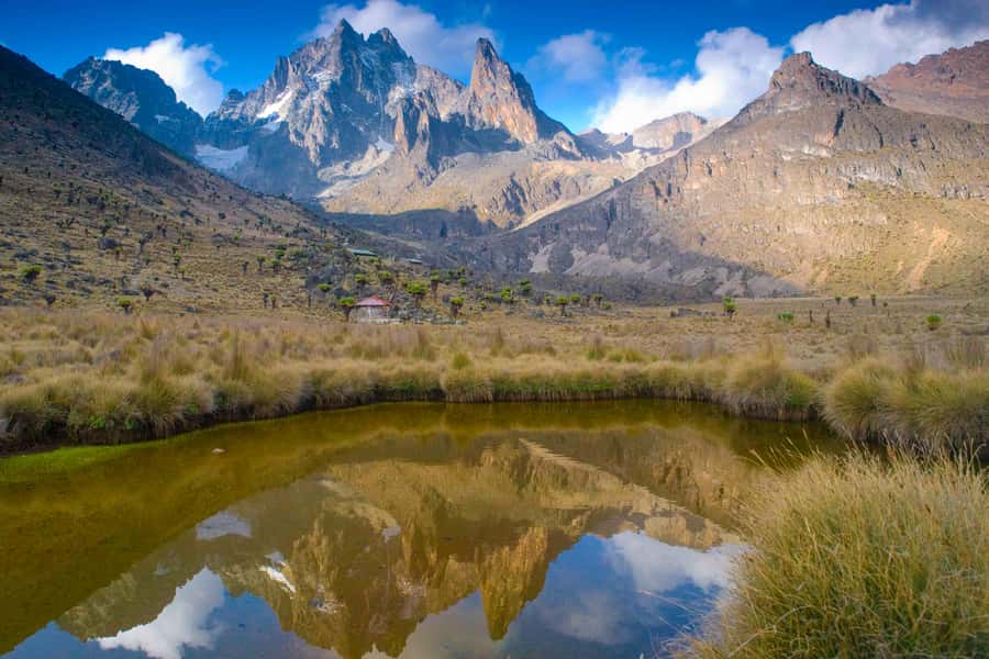 Mt Kenya: Full-day hiking tour from Nairobi - Key points before you book