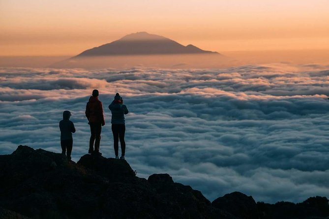 Mt Kilimanjaro Trek; Rongai Route - 6 Days - Why the Rongai Route feels different