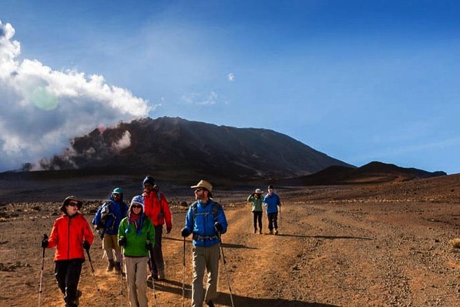 Mt Kilimanjaro Trek; Rongai Route - 6 Days - Day three: Mawenzi Tarn and a valuable acclimatization afternoon